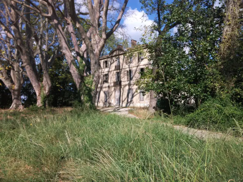 La bastide Montgolfier, demeure provençale cachée derrière de grands platanes et des herbes hautes, dans le 14e arrondissement de Marseille